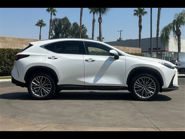 2023 Lexus NX 350 Luxury