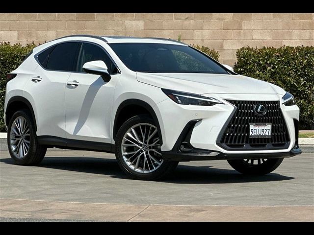 2023 Lexus NX 350 Luxury