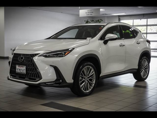 2023 Lexus NX 350 Luxury