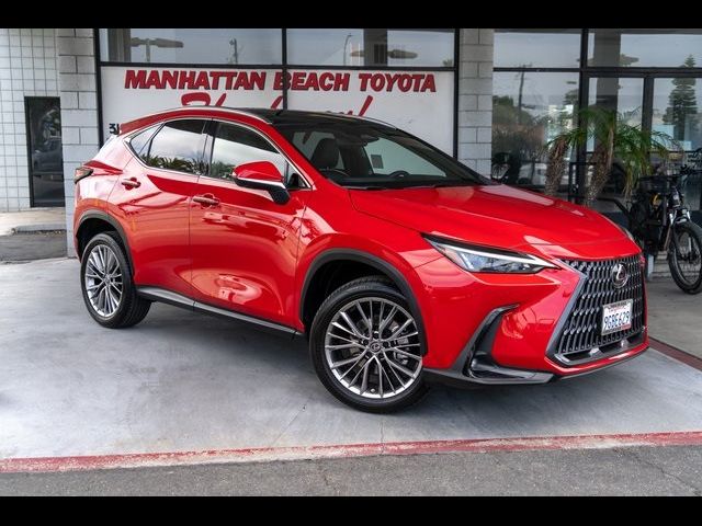 2023 Lexus NX 350 Luxury