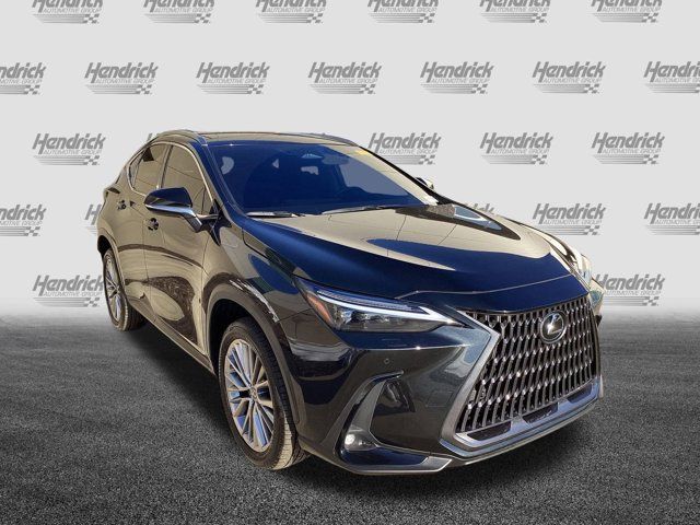 2023 Lexus NX 350 Luxury