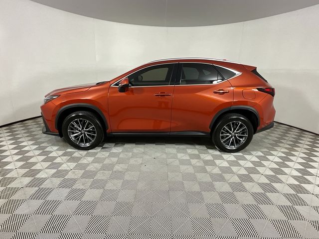 2023 Lexus NX 350 Premium