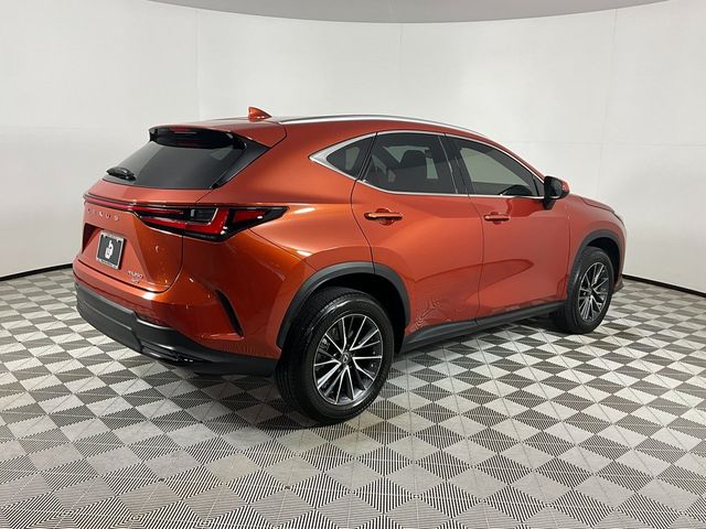 2023 Lexus NX 350 Premium