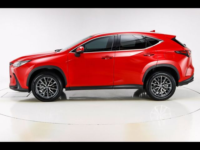 2023 Lexus NX 350 Premium