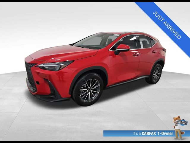 2023 Lexus NX 350 Premium