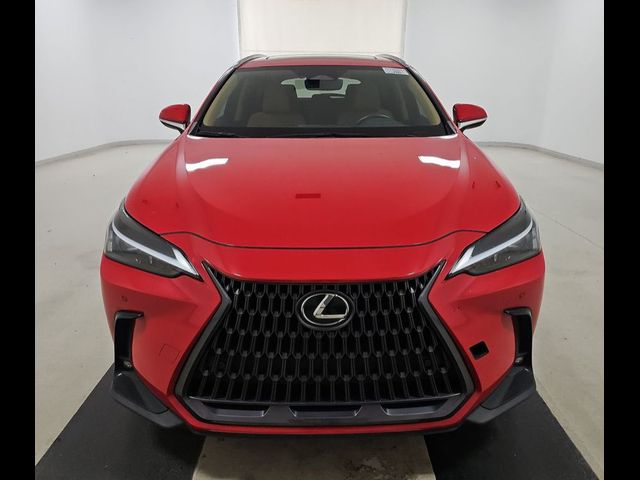 2023 Lexus NX 350 Premium