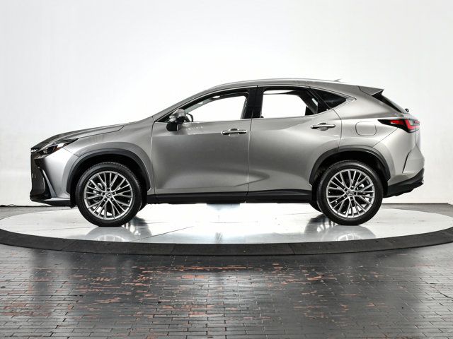 2023 Lexus NX 350 Premium