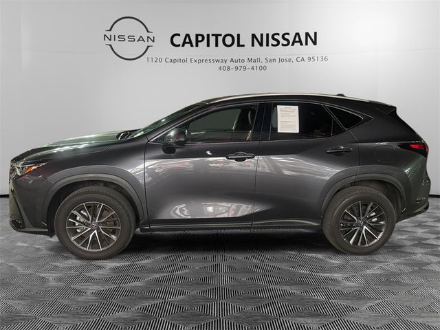 2023 Lexus NX 350 Premium