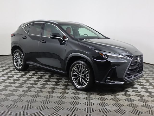 2023 Lexus NX 350 Premium