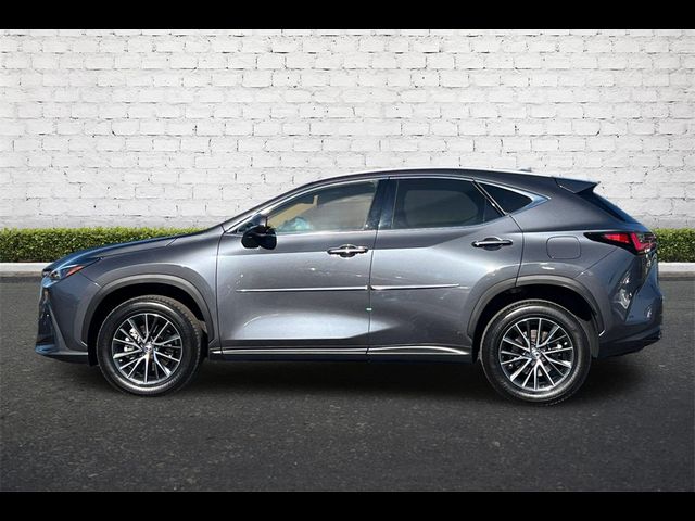 2023 Lexus NX 350 Premium