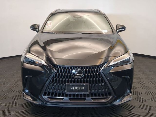 2023 Lexus NX 350 Premium