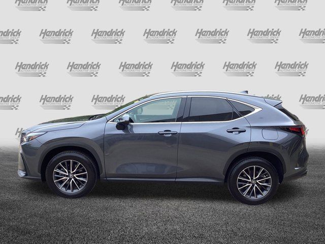 2023 Lexus NX 350 Premium