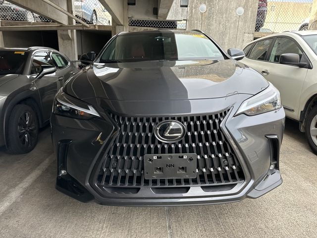 2023 Lexus NX 350 Premium