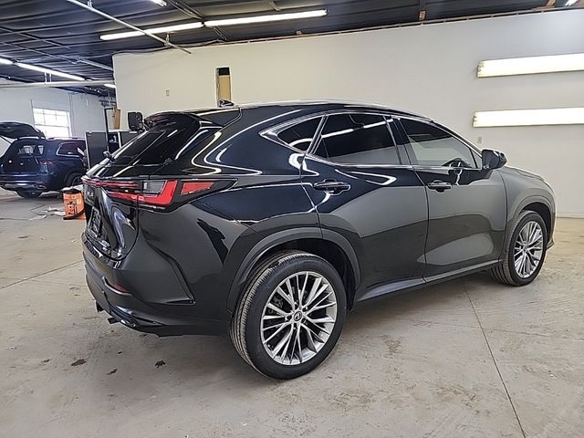 2023 Lexus NX 350 Premium