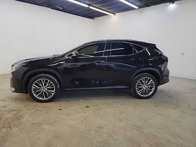 2023 Lexus NX 350 Premium