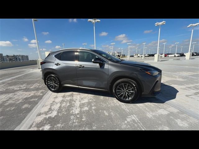 2023 Lexus NX 350 Premium