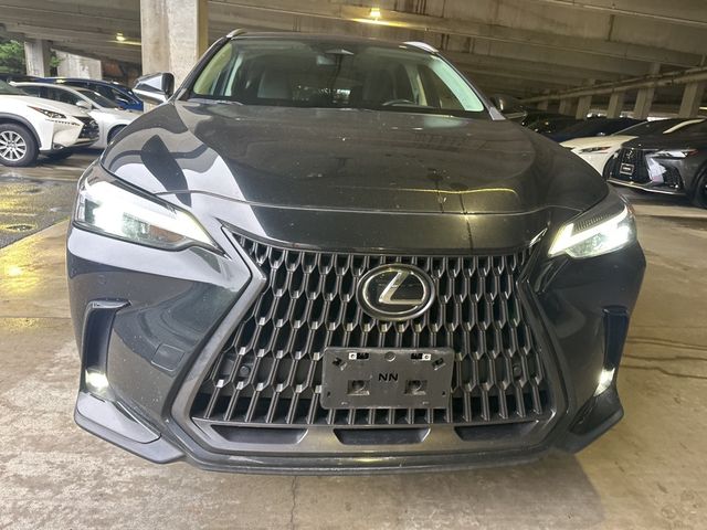 2023 Lexus NX 350 Premium