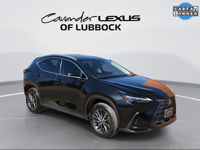 2023 Lexus NX 350