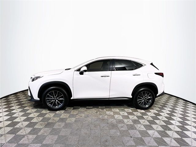 2023 Lexus NX 350 Premium