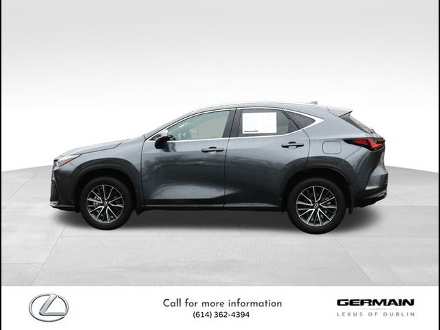 2023 Lexus NX 350 Premium