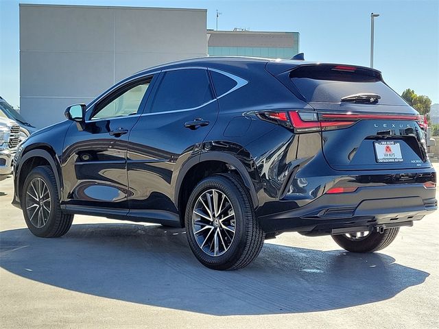 2023 Lexus NX 350 Premium