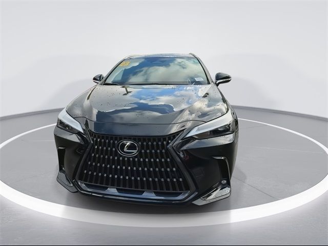 2023 Lexus NX 350 Premium