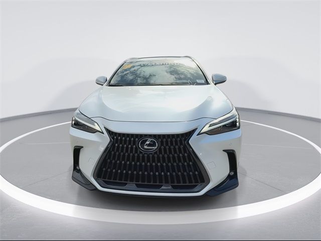 2023 Lexus NX 350 Premium