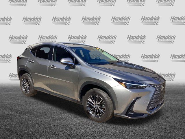 2023 Lexus NX 350 Premium