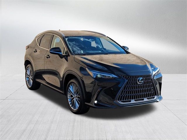 2023 Lexus NX 350 Premium