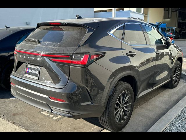 2023 Lexus NX 350 Premium