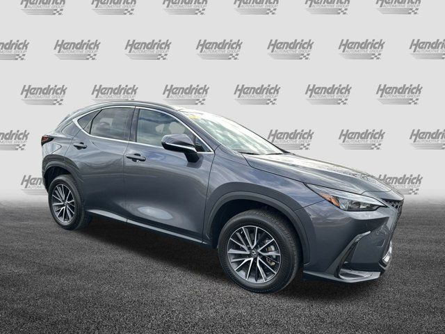 2023 Lexus NX 350 Premium