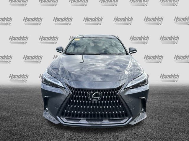 2023 Lexus NX 350 Premium