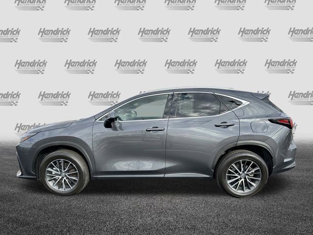 2023 Lexus NX 350 Premium