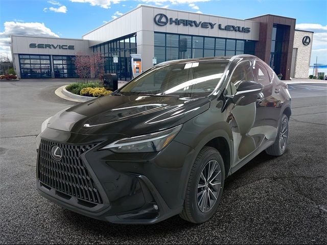 2023 Lexus NX 350 Premium