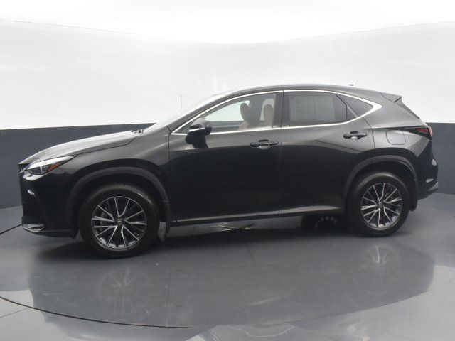 2023 Lexus NX 350 Premium