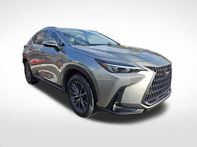 2023 Lexus NX 350 Premium