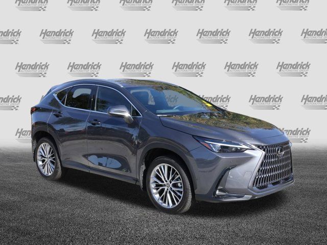 2023 Lexus NX 350 Premium