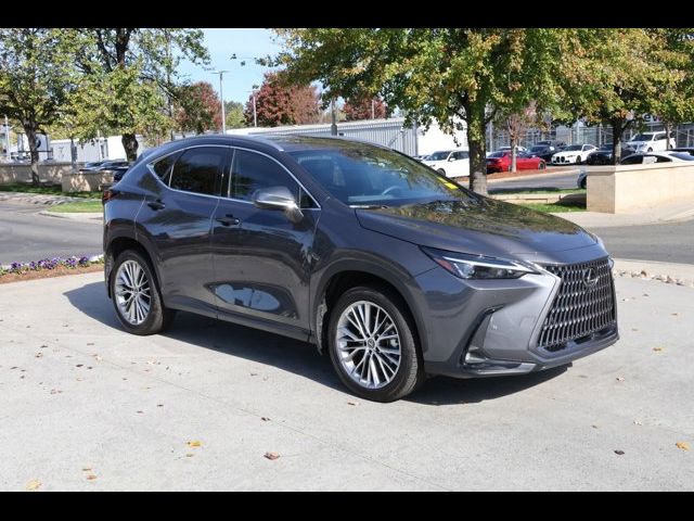 2023 Lexus NX 350 Premium