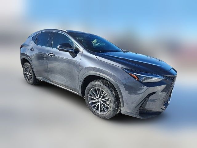 2023 Lexus NX 350 Premium