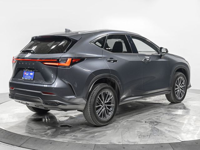 2023 Lexus NX 350 Premium