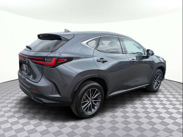 2023 Lexus NX 350 Premium