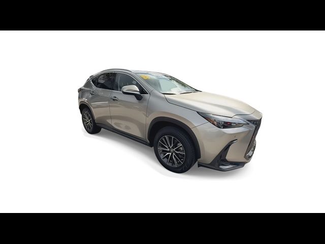 2023 Lexus NX 350 Premium