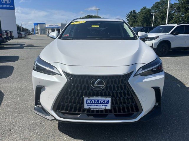 2023 Lexus NX 350 Premium