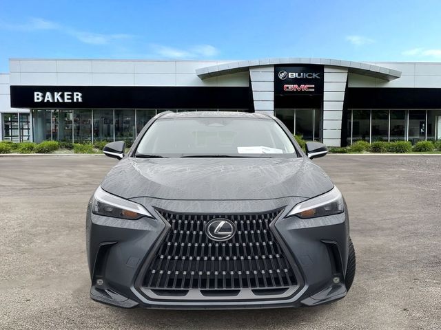 2023 Lexus NX 350h