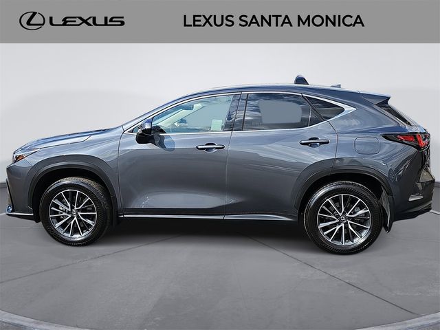 2023 Lexus NX 350h