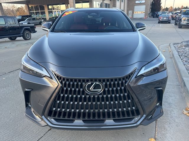 2023 Lexus NX 350h