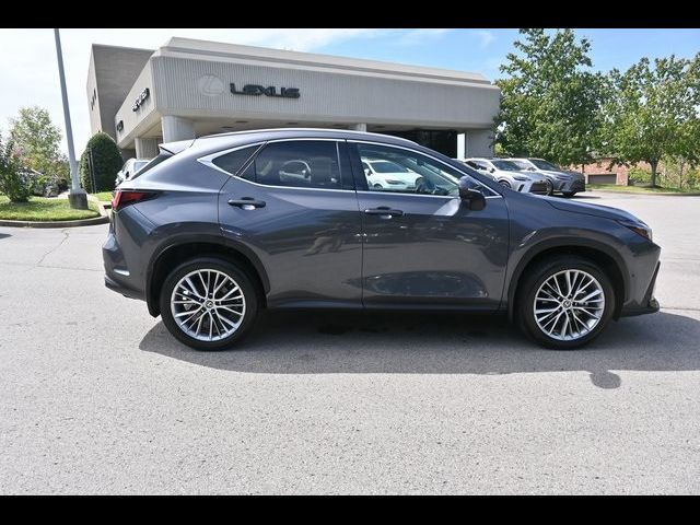 2023 Lexus NX 350h Luxury