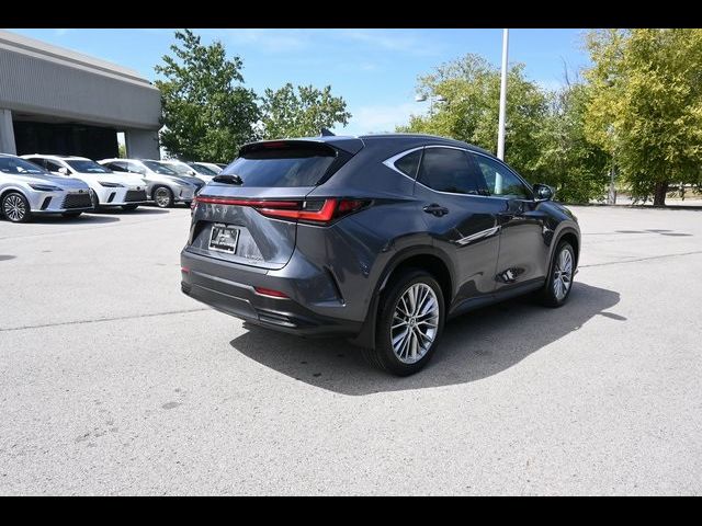 2023 Lexus NX 350h Luxury