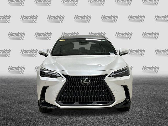 2023 Lexus NX 350h Luxury