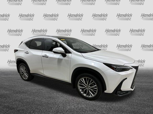 2023 Lexus NX 350h Luxury